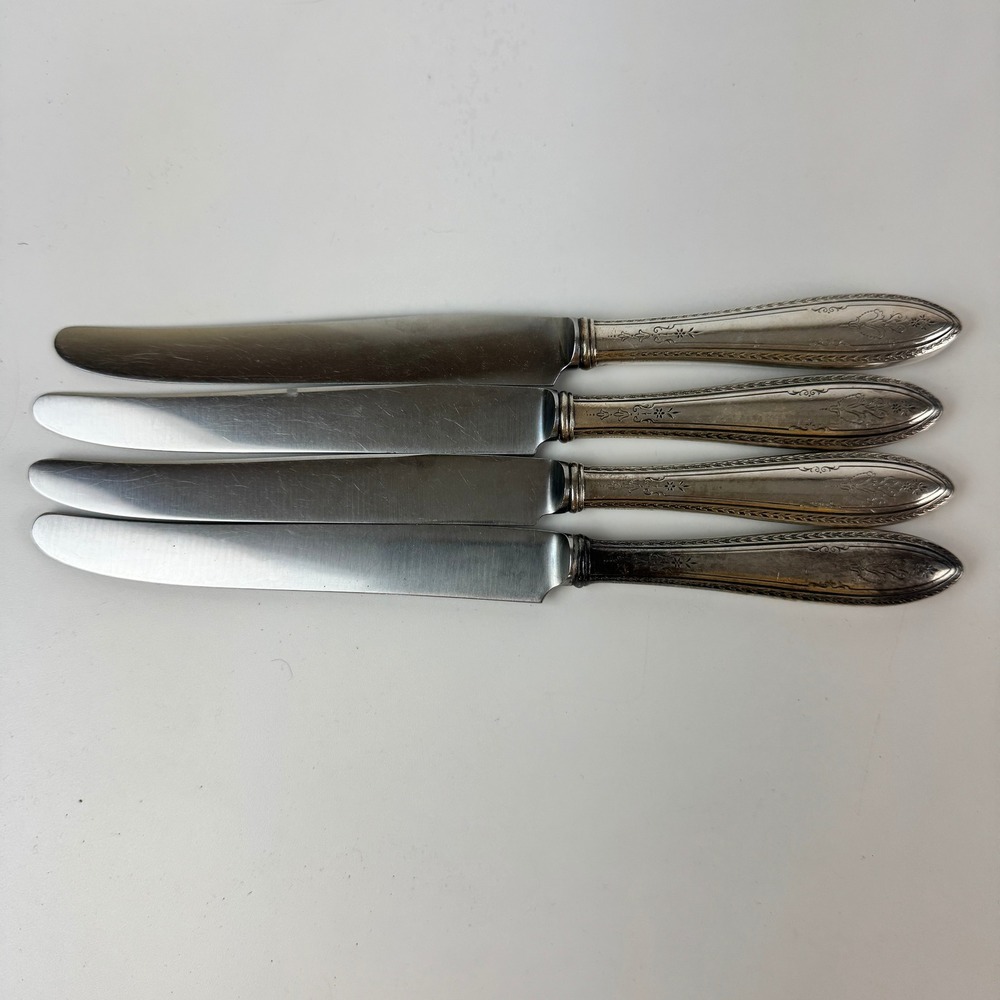 1847 Rogers Bros Argosy Silverplate Dinner Knives Insico Stainless Set of 4 9.5"